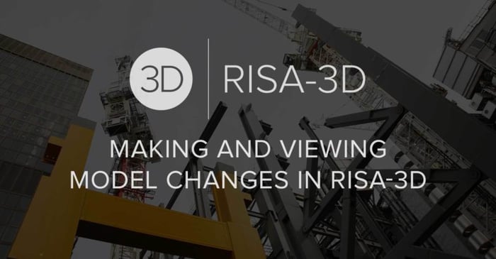 Making and Viewing Model Changes in RISA-3D