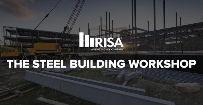 Online Course: RISA Steel Building Workshop