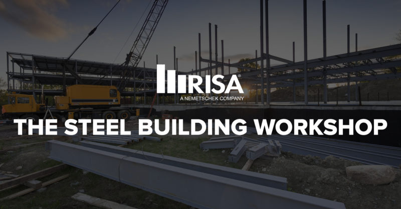 online course: risa steel building workshop