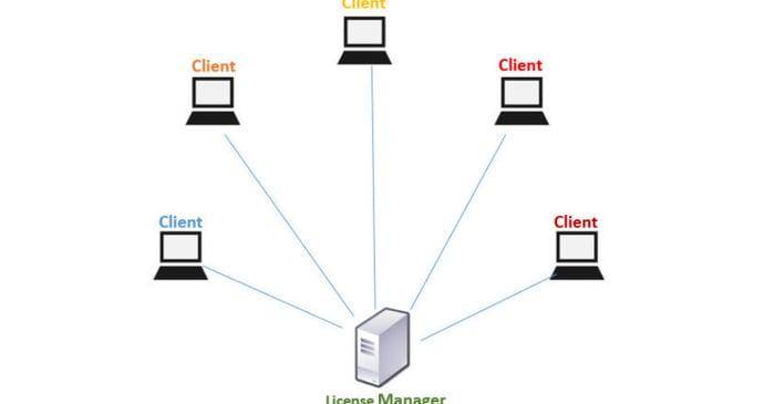 Utilizing Virtual Network Servers with RISA